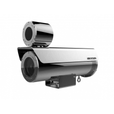 IP-камера Hikvision DS-2DB4223I-CX (WE/316L)